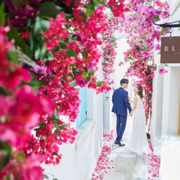 ブーゲンビリア ストリート