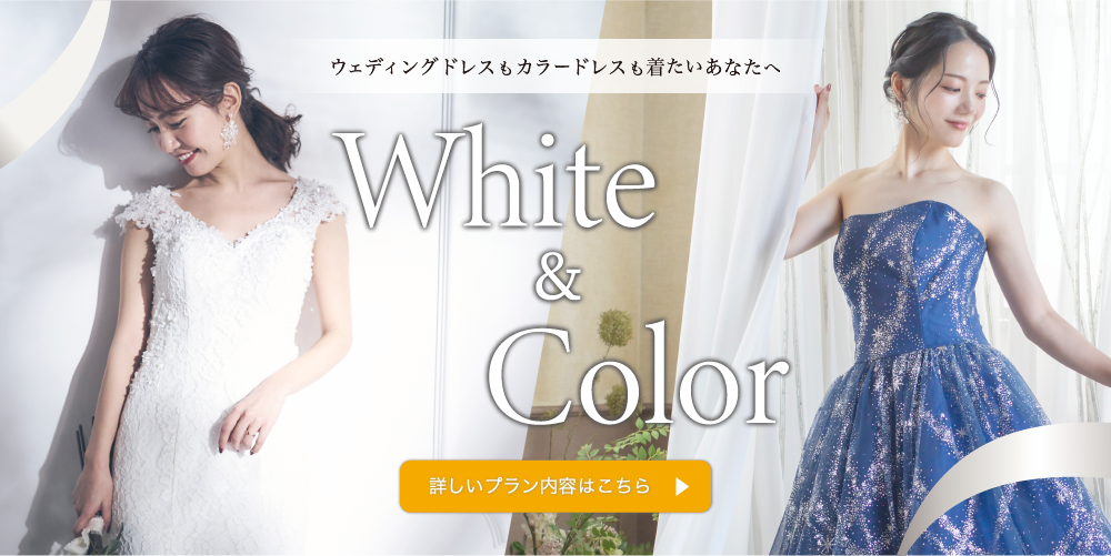 【ドレスにこだわりたい方向け】White＆Colorドレス｜ドレス2着5シーン・全150カット撮影！