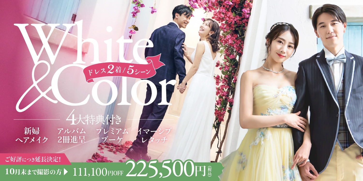 【ドレスにこだわりたい方向け】White＆Colorドレス｜ドレス2着5シーン・全150カット撮影！